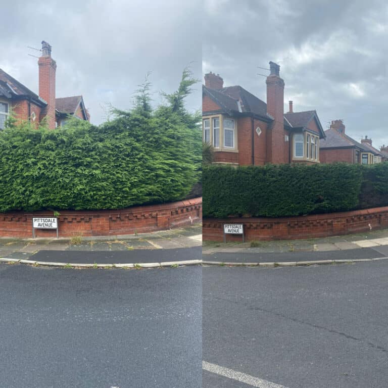 Professional Hedge Trimming and Upkeep in Wigan