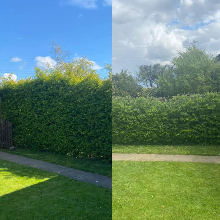 Expert Hedge Cutting Wigan