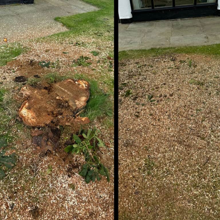 Professional stump grinding Wigan services near you