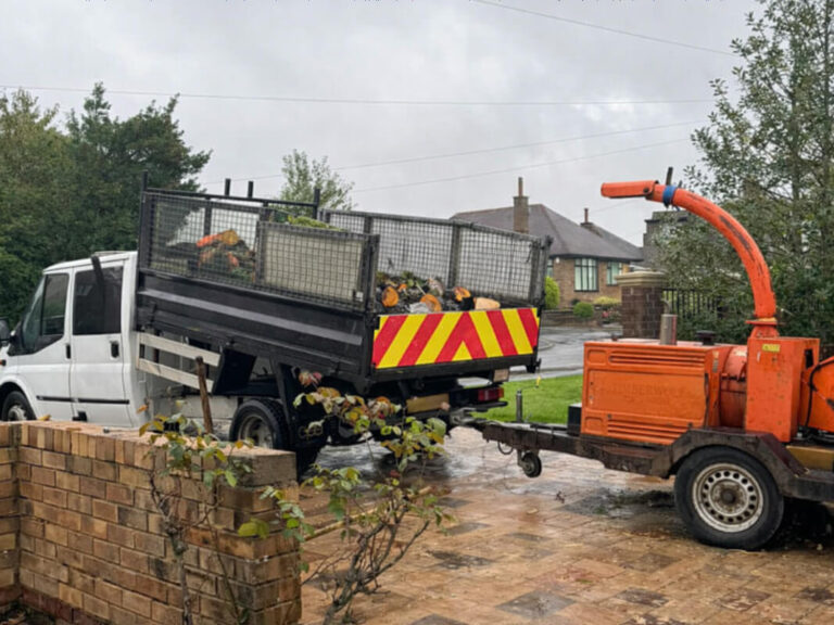 Experienced in All Aspects of Tree Work